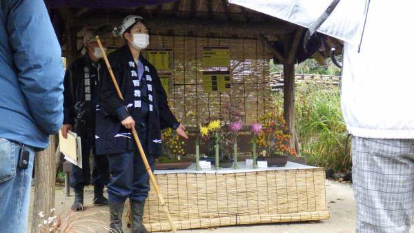 【11/23まで開催中】向島百花園『菊が彩る江戸花屋敷』