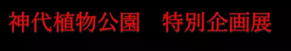 【神代植物公園】特別企画展「薫風に香る江戸の華～はなしょうぶ」を開催します！
