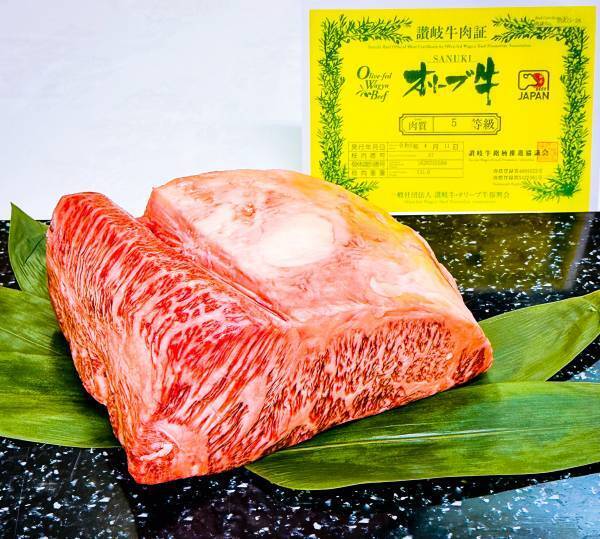 【西明石ホテルキャッスルプラザ】オリーブ牛を使った期間限定メニューをご用意！7月1日(土)からお客様感謝フェア「ホテルキャッスルプラザFourSeasons」開催