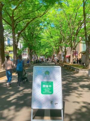 【出店募集】５月開催「府中ストリートテラス」でのキッチンカー出店を募集します！