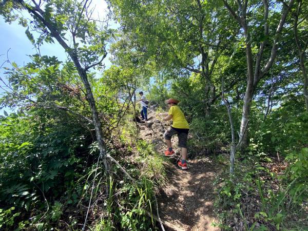 【福島県いわき市】2023年 いわきの日帰り絶景低山 オススメ５選