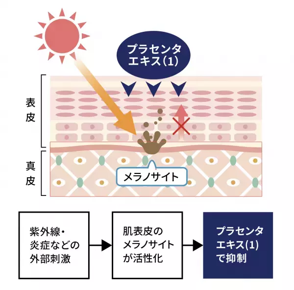【ほんのり甘くキンモクセイが香る】『NULL 薬用ハンドクリーム キンモクセイ』11月9日より発売開始！
