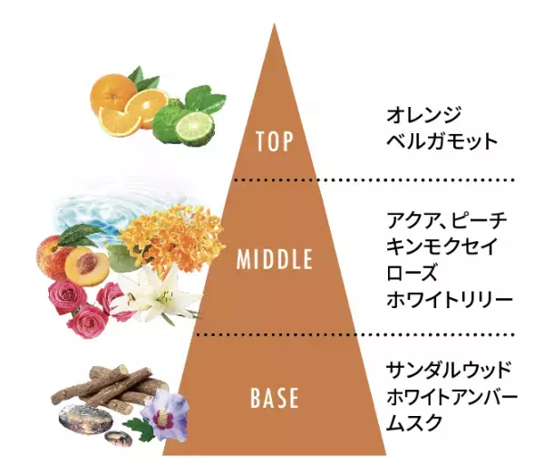 【ほんのり甘くキンモクセイが香る】『NULL 薬用ハンドクリーム キンモクセイ』11月9日より発売開始！