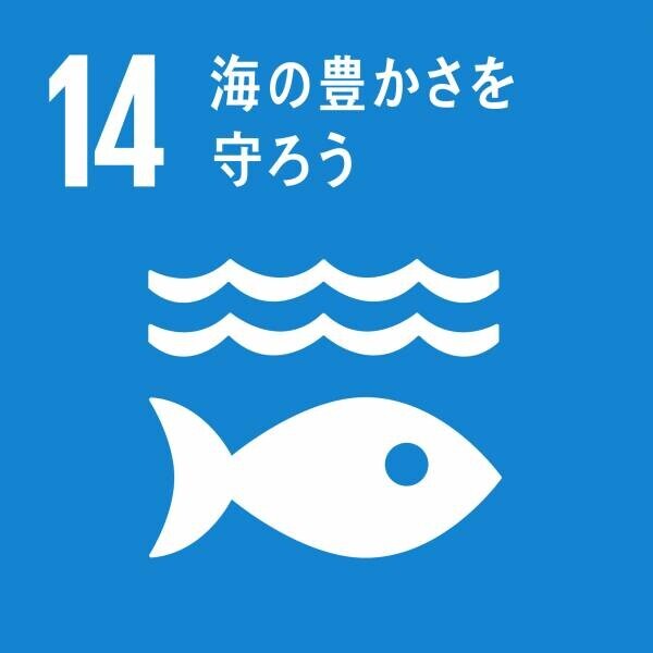 株式会社シップスは「下田市の海浜回収ペットボトルアップサイクルプロジェクト」を美しい海の保全と意識醸成を目指し本年も実施します。