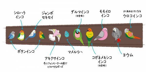 パリミキだけでしか買えない、インコの足跡付きメガネ 「とりめがね」 第三弾を 2023年5月1日（月）に発売いたします