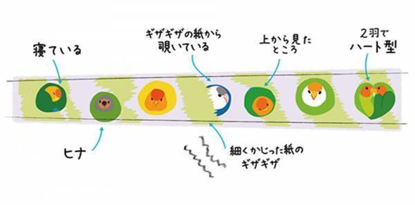 パリミキだけでしか買えない、インコの足跡付きメガネ 「とりめがね」 第三弾を 2023年5月1日（月）に発売いたします