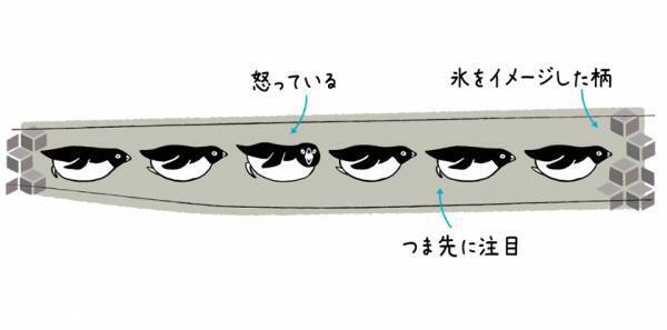 パリミキだけでしか買えない、インコの足跡付きメガネ 「とりめがね」 第三弾を 2023年5月1日（月）に発売いたします
