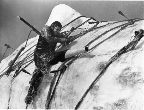 往年の名作水棲怪物スリラーを2週連続で放送！ 「ピラニア」「白鯨」 2月16日（木）、23日（木）夕方6時～BS12 トゥエルビで放送