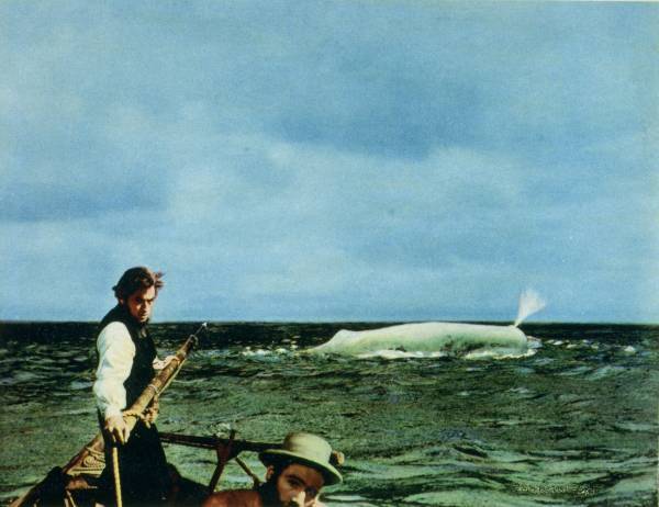 往年の名作水棲怪物スリラーを2週連続で放送！ 「ピラニア」「白鯨」 2月16日（木）、23日（木）夕方6時～BS12 トゥエルビで放送