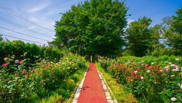 学園生活コミュニティ「キャラフレ」｜2022年度卒業旅行イベント『日本アルプス』のお知らせ