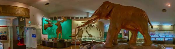 学園生活コミュニティ「キャラフレ」｜2022年度卒業旅行イベント『日本アルプス』のお知らせ