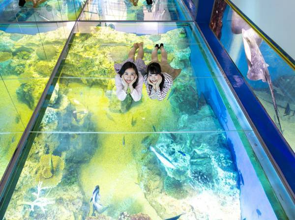 新たな旅行プランを提案！「JR東海バス」名古屋駅⇔福井県あわら市・坂井市の『直行バス』運行決定！