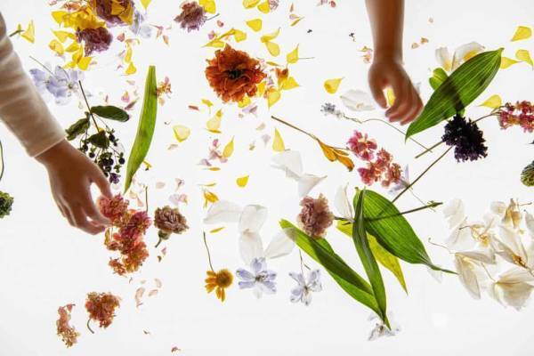 【リゾナーレ大阪】花を見つめ、花の不思議さを感じる、子どものためのお花見「アトリエの花咲くリゾナーレ」開催～アトリエリスタと色や香りを感じ、花と出会う「プロジェクト」実施～｜期間：2023年4月1日～5月31日