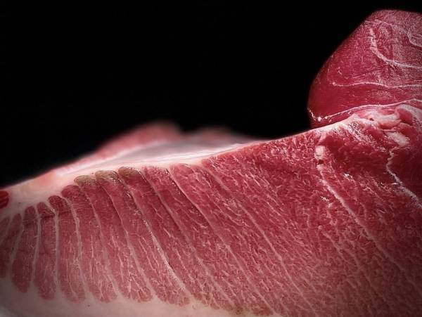 【SNSで大人気／予約困難店出身】立ち食い鮨ブラボーが池尻大橋にオープン！