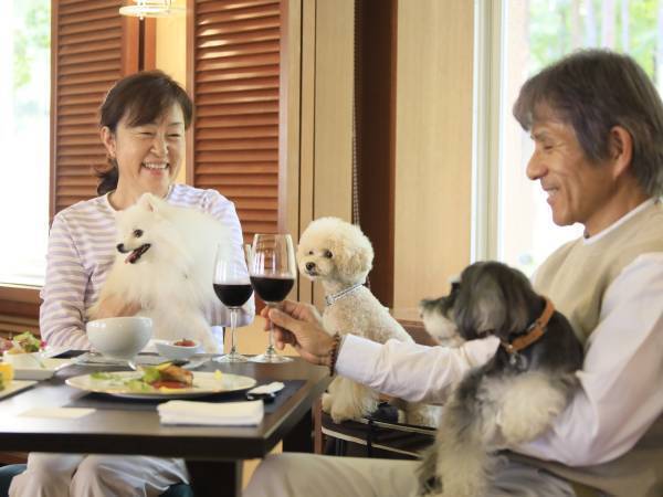 わんちゃん専用バスで雪遊びに出かけよう！ 「ゆとりろ蓼科ホテルwith DOGS」が愛犬と行くバスツアー宿泊施設として初参画