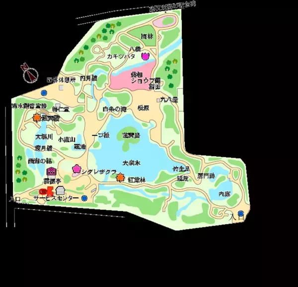 小石川後楽園「スイレンが見ごろ入り！」