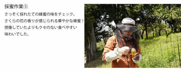 2023年最初のはちみつを“採れたて6日”で新発売 ハニーハンターが直接買い付けた「新蜜」 フレッシュなローハニー（生蜂蜜）で食べてみて