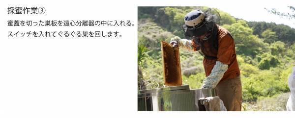 2023年最初のはちみつを“採れたて6日”で新発売 ハニーハンターが直接買い付けた「新蜜」 フレッシュなローハニー（生蜂蜜）で食べてみて