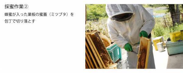 2023年最初のはちみつを“採れたて6日”で新発売 ハニーハンターが直接買い付けた「新蜜」 フレッシュなローハニー（生蜂蜜）で食べてみて