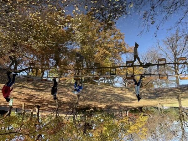 【10/30募集スタート】東京都公園協会「秋のTOKYO Instagramフォトコンテスト 2023」