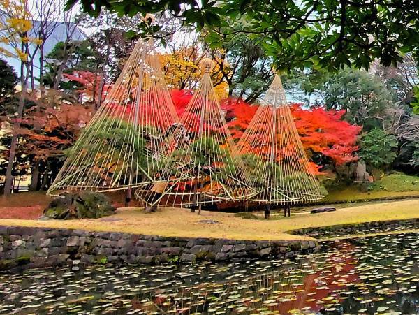 【10/30募集スタート】東京都公園協会「秋のTOKYO Instagramフォトコンテスト 2023」