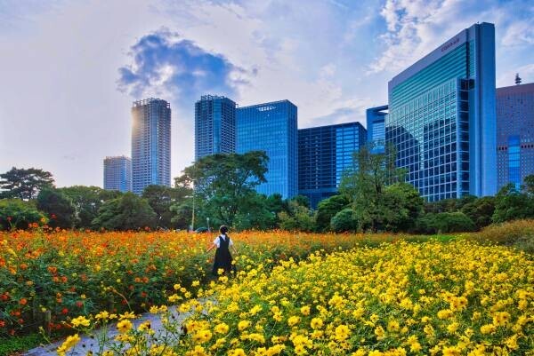 【10/30募集スタート】東京都公園協会「秋のTOKYO Instagramフォトコンテスト 2023」