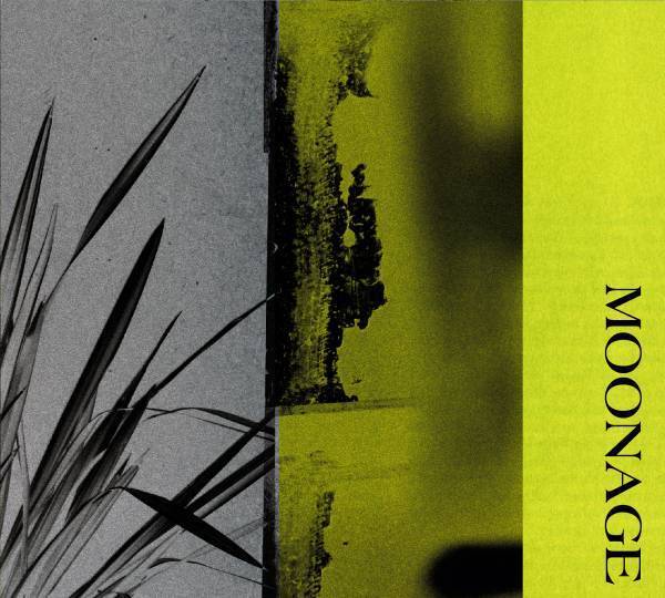 椿屋四重奏二十周年、宮城＆東京公演は即日ソールドアウト！ 9月4日(月)、大阪での追加公演が急遽決定！