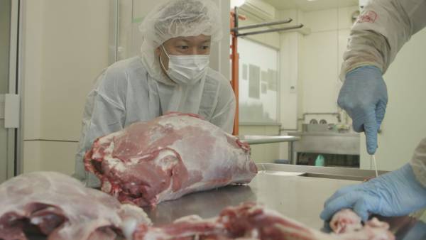 【広島ホームテレビ】広島の未来をつくる「ひろしま未来区」プロジェクト第４弾を放送！