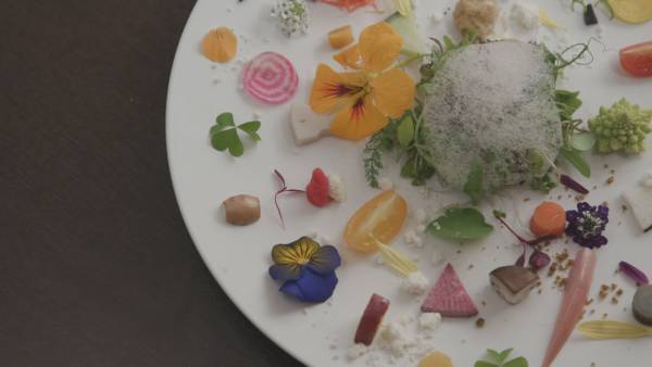 【広島ホームテレビ】広島の未来をつくる「ひろしま未来区」プロジェクト第４弾を放送！