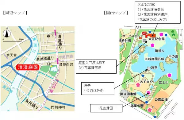 清澄庭園「花菖蒲と遊ぶ」５月27日（土）～６月11日（日）開催！