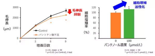 毛髪の成長に欠かせない栄養成分「パントテン酸」が 外部刺激による毛髪の成長阻害を改善する可能性