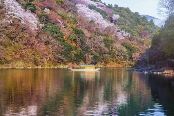 【星のや京都】屋形舟で渓谷の桜を眺めながら特製の和菓子を味わう「朝ぼらけの花見舟」開催 ～かつて平安貴族が愛でた嵐山の桜を大堰川の上から静かに眺める～｜期間：2023年3月25日～4月9日