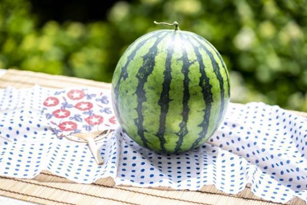 熊本・山鹿の温泉旅館が夏休み限定【スイカ丸ごとプラン】販売開始 ＜2023年7月17日～8月31日＞家族やグループで夏を満喫
