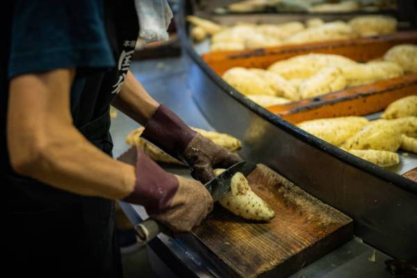 【界 霧島】～職人、生産者と行うご当地文化体験「手業のひととき」3年目に突入～「杜氏から教わる本格焼酎と醸造蔵見学」2つの蔵で開催｜2023年3月1日～2024年2月29日