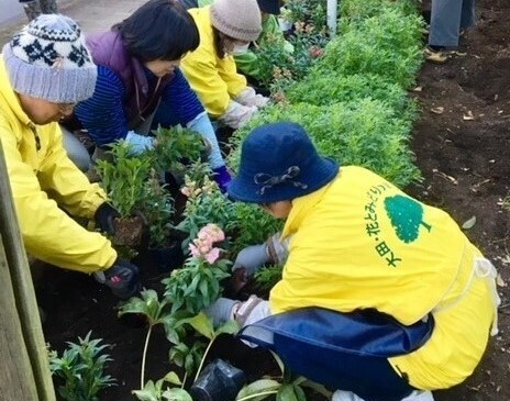 【7/21まで申請受付中！】東京都都市緑化基金