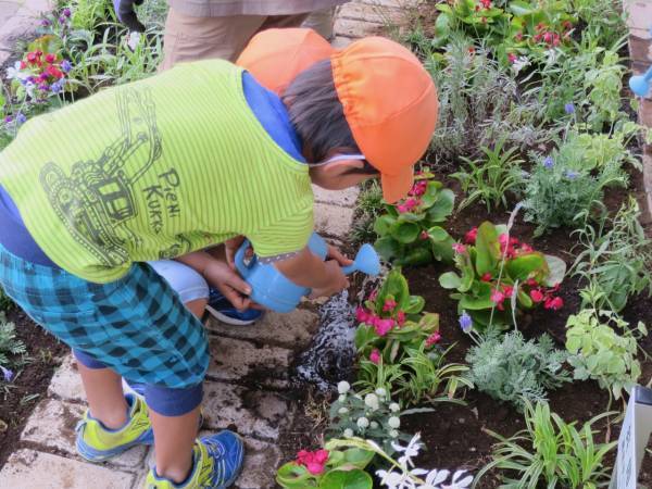 【7/21まで申請受付中！】東京都都市緑化基金