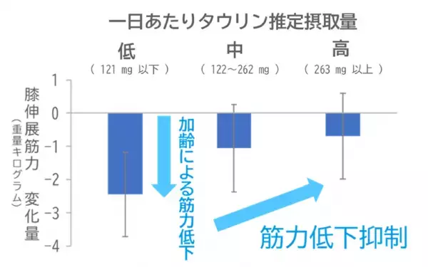 中高年者の筋力維持にタウリンが寄与する可能性を発見
