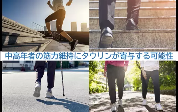 中高年者の筋力維持にタウリンが寄与する可能性を発見