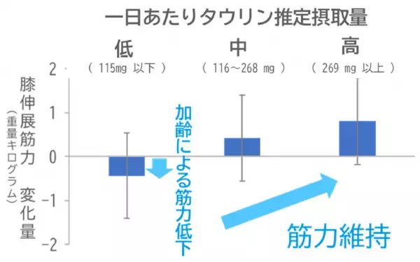 中高年者の筋力維持にタウリンが寄与する可能性を発見