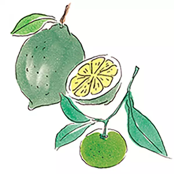 南の島のミルクハンドクリームギフト「Chi-Chiミルクハンドクリーム」ギフトセット2月1日提供開始