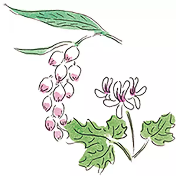 南の島のミルクハンドクリームギフト「Chi-Chiミルクハンドクリーム」ギフトセット2月1日提供開始