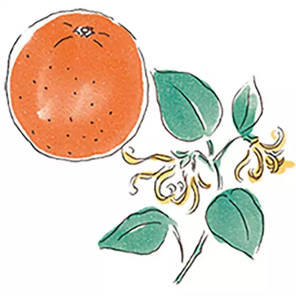 南の島のミルクハンドクリームギフト「Chi-Chiミルクハンドクリーム」ギフトセット2月1日提供開始