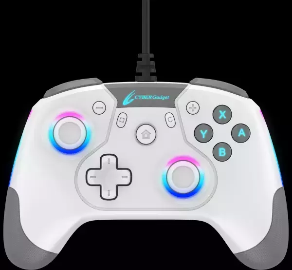 連射機能＆背面ボタン＆RGB LEDを搭載！　応答性と耐久性に優れた小型マイクロスイッチを採用したPC用本格派ゲーミングコントローラーが新登場！