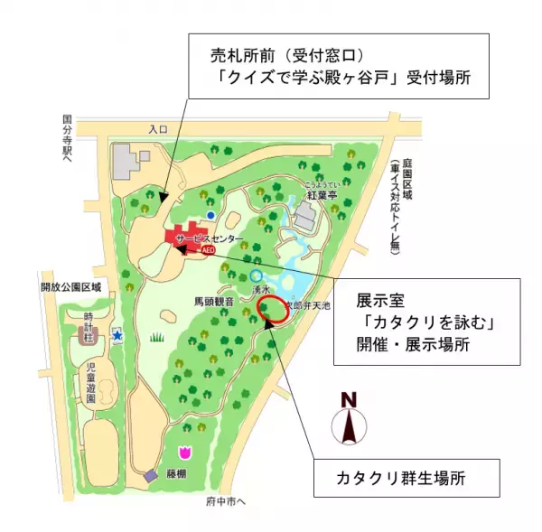 殿ヶ谷戸庭園 カタクリの見ごろにあわせた「春の催し」３月18日（土）～３月26日（日）