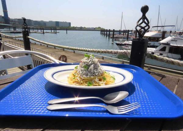 biid（ビード）【大阪湾における事業告知】新たなクルージングプラン②「ランチ&クルージング」の開始！