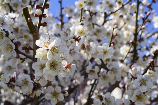 【群馬県安中市】安中市の移住定住支援を担っていく「移住コーディネーター見習い」を募集します！