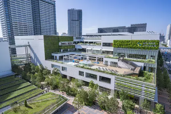 食品スーパー売上高１位のライフが手掛けるビオラルに大型カフェが新登場！「ビオラル有明ガーデン店」６／３０（金）ついにオープン！