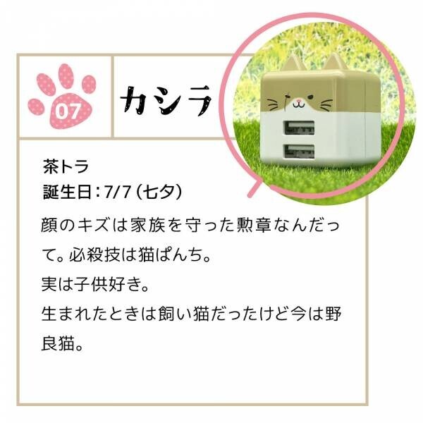【事前予約で30%OFF！】ねこ好きのための猫型充電器「モバニャー」の予約注文を開始！