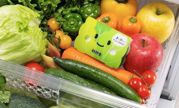 ［冷蔵庫の野菜室に置くだけで野菜がシャキッ！］野菜を新鮮に保つエステー「新鮮番」を500名に無料でお届け！