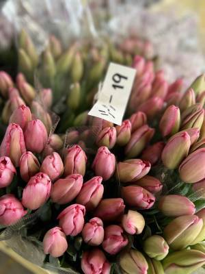 1月28日(土)富山市内で無人花屋の新店舗 hiraku をオープン★